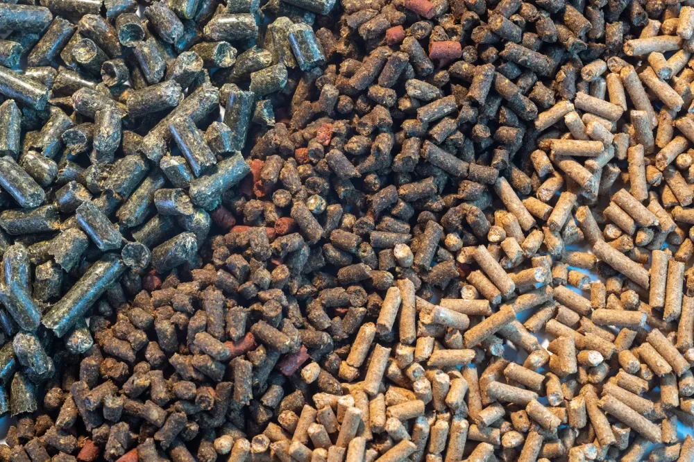 Aliments pour animaux à Saint-Pierre-Roche